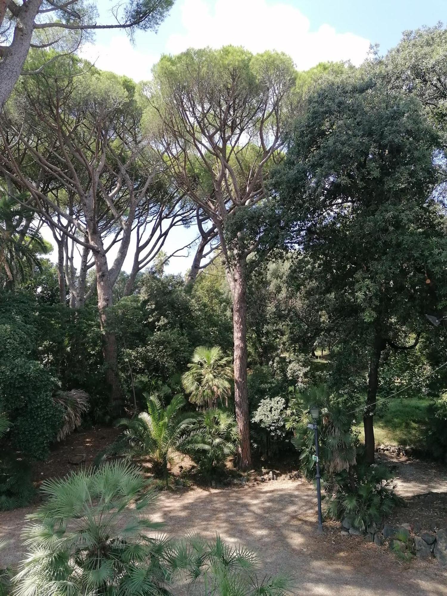 Villa Figoli Suites Arenzano Exterior foto